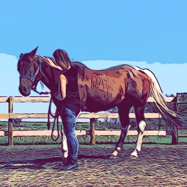 woman pets horse