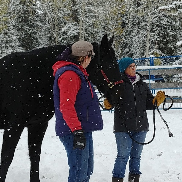 equine-assisted team development