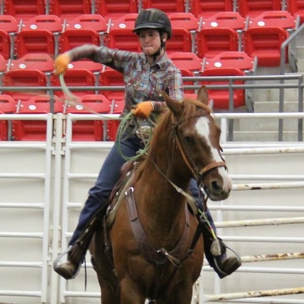 Rope horse and girl