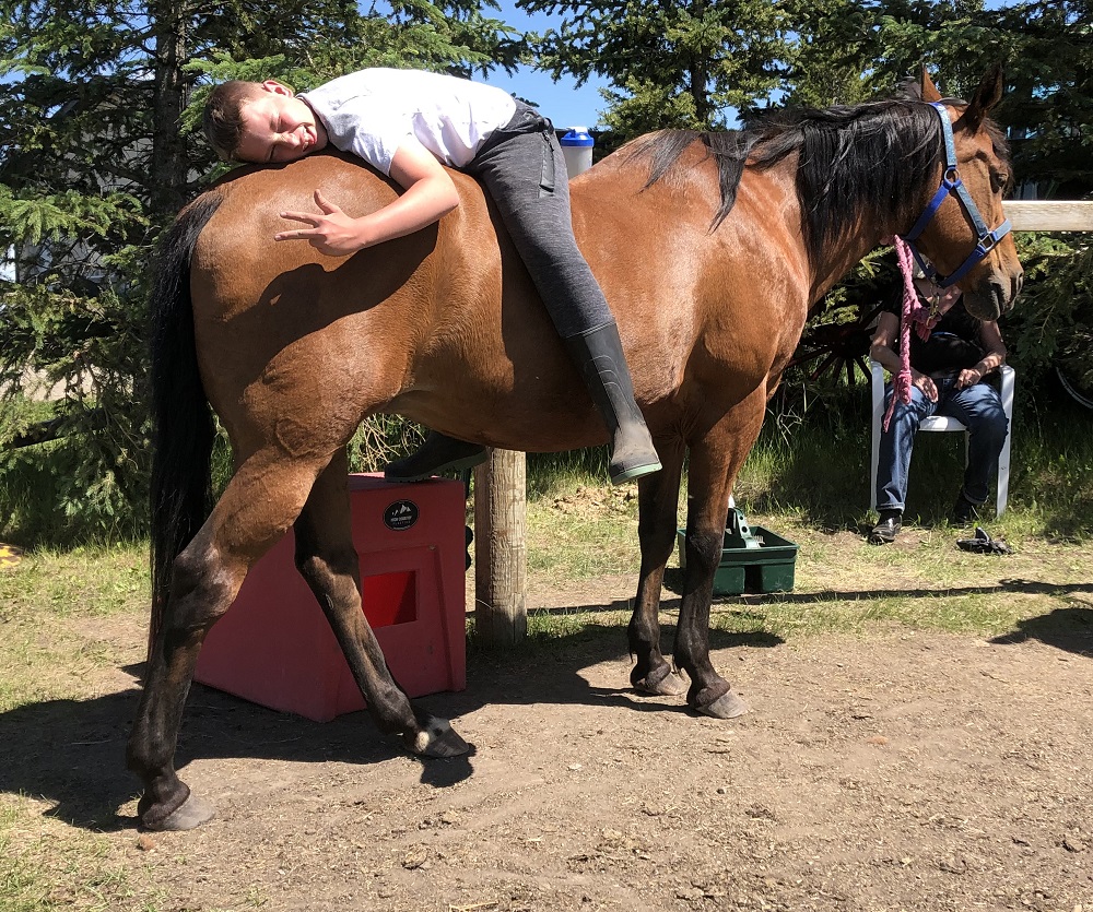 laying on horse