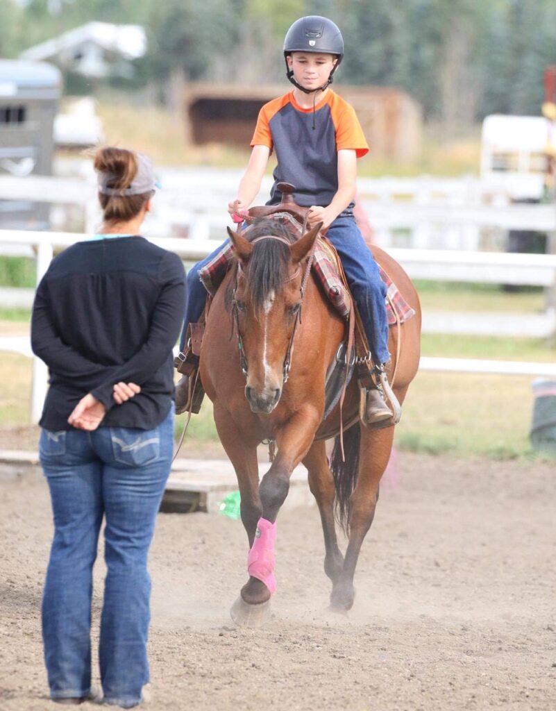 horse-lesson