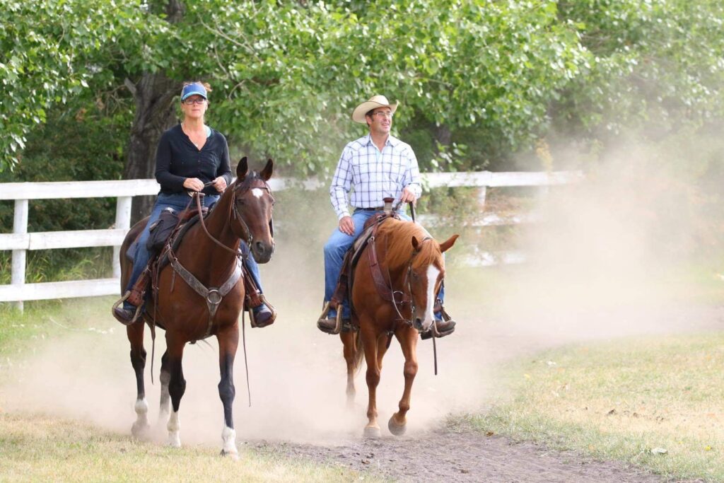 couples-sessions-emerge-equine-assisted-learning-and-personal-development