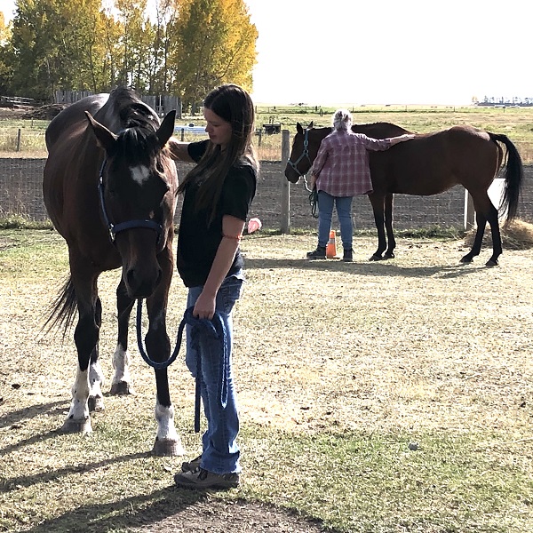 women in group with horses