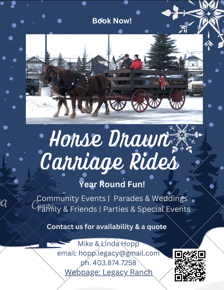 Carriage rides for fun!